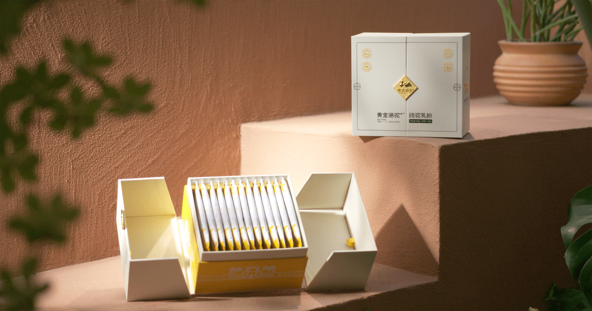 定位小众高端乳粉，ag凯发推出驼奶品牌“黄金骆驼+”，角逐乳品新市场！